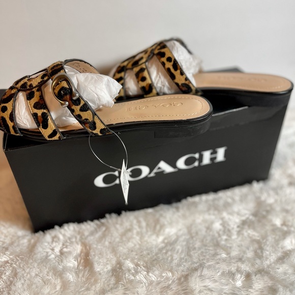 Coach - Picture 8 of 10